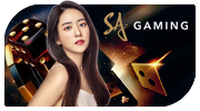 SA Suite